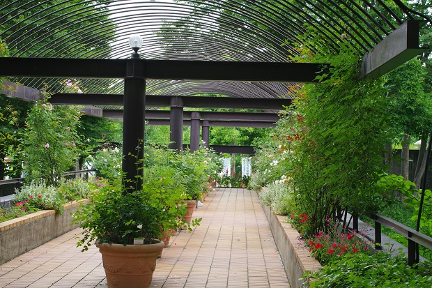How to Renovate a New Build Garden