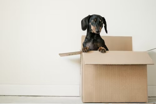 Moving House in 2026