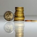 Custodial Roth IRA